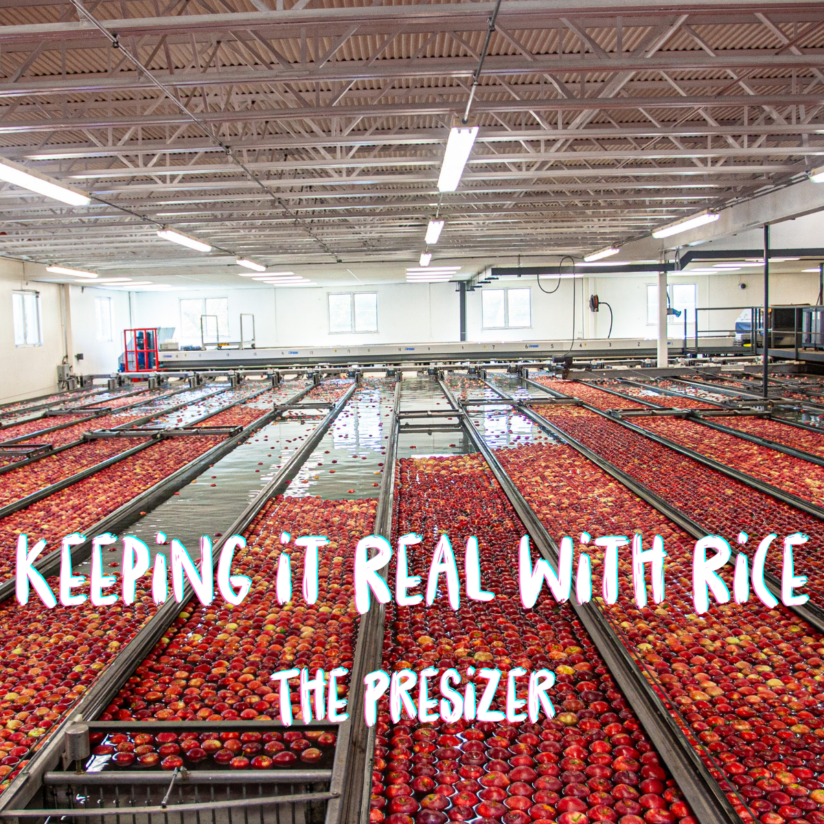 Keeping it Real- Presizer Thumbnail for website